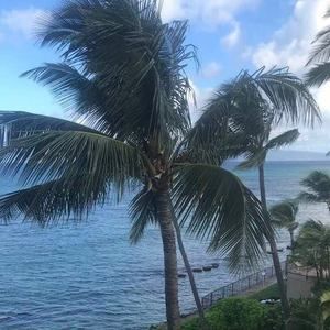 Meet your Posher, Monique